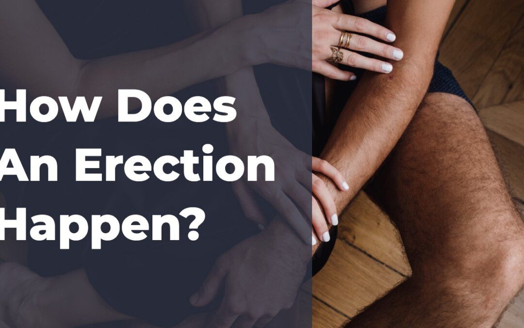 The Science Behind Erectile Dysfunction — How Does An Erection Happen?
