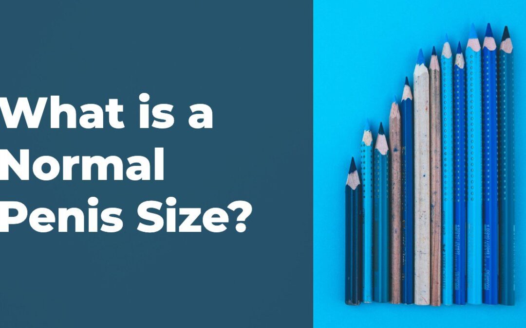 What is a Normal Penis Size?